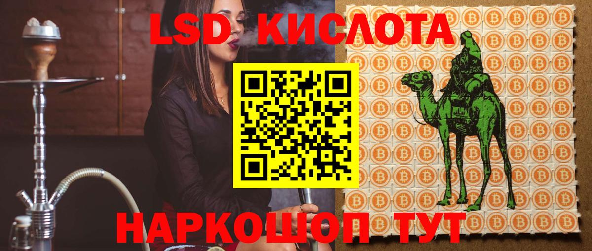 LSD-25 экстази ecstasy  Вход с VPN  LSD-25 экстази  LSD-25 экстази ecstasy  Шадринск 