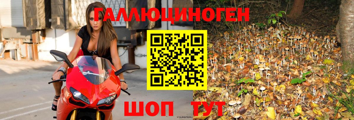 Псилоцибиновые грибы MAGIC MUSHROOMS  Вход с VPN  Шадринск 