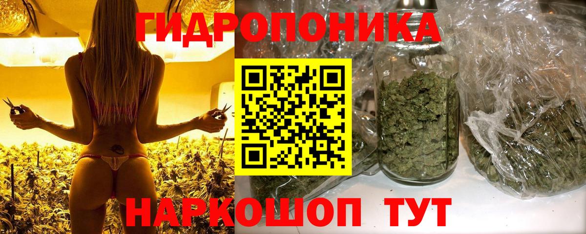 Конопля марихуана Шадринск